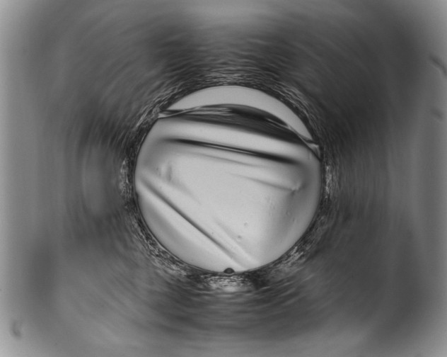 X0000100340377200806261333