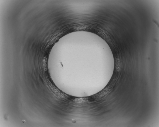 X0000100340378200806261333