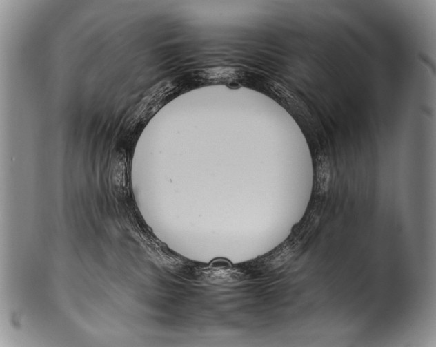 X0000100340379200806261333