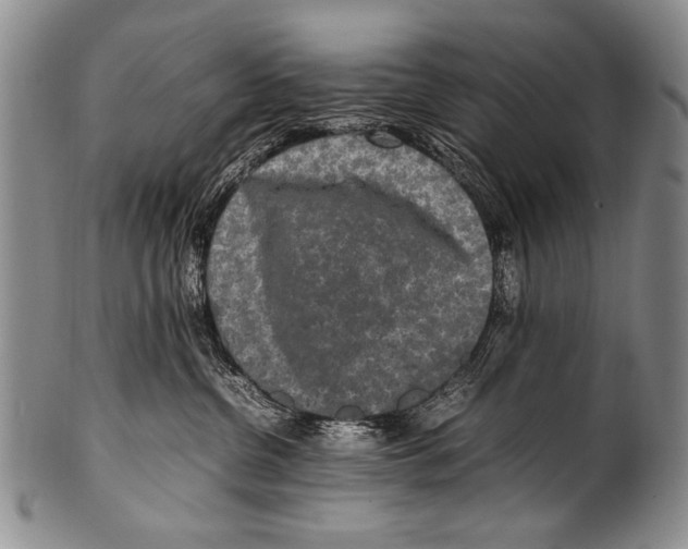 X0000100340380200806261333