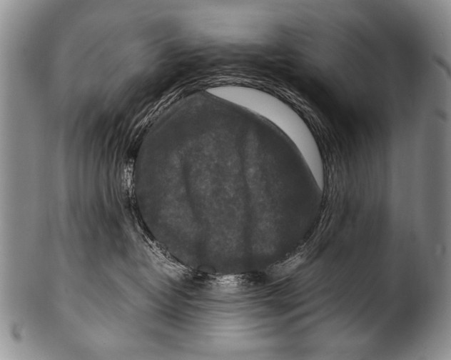 X0000100340382200806261333