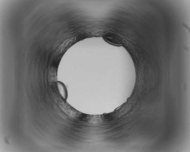 X0000100340384200806261333