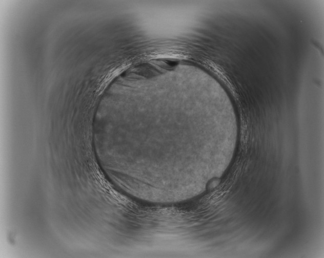 X0000100340385200806261332