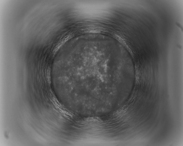 X0000100340386200806261332