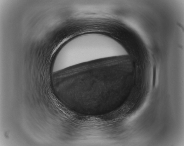 X0000100340387200806261332