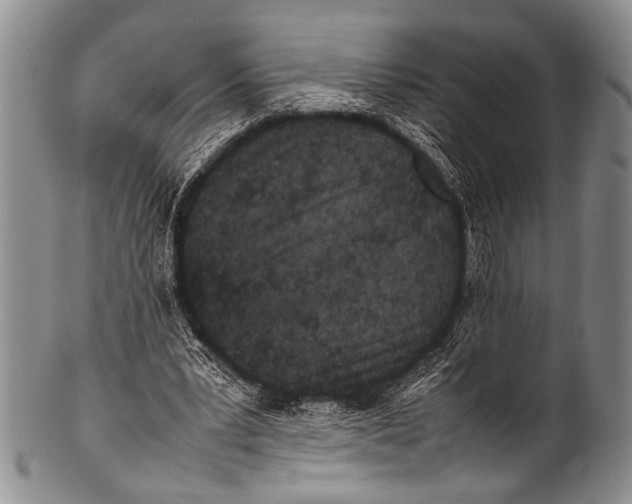 X0000100340391200806261332