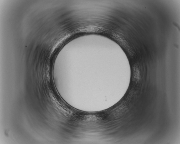 X0000100340392200806261332