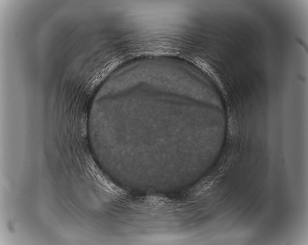 X0000100340393200806261332