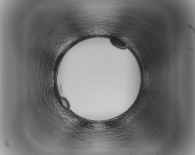 X0000100340395200806261332