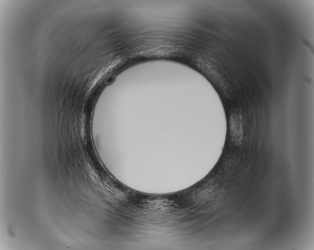 X0000100340396200806261332