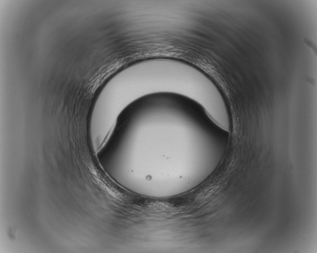 X0000100340397200806261332