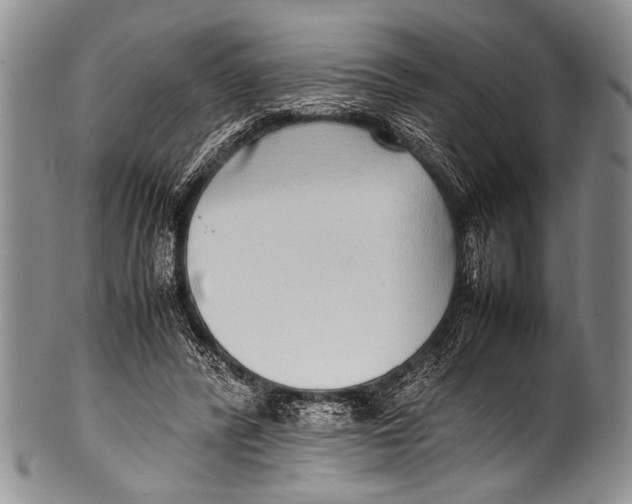 X0000100340400200806261332