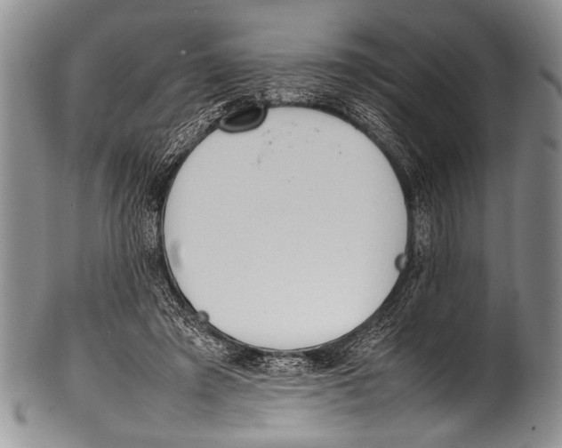 X0000100340401200806261332