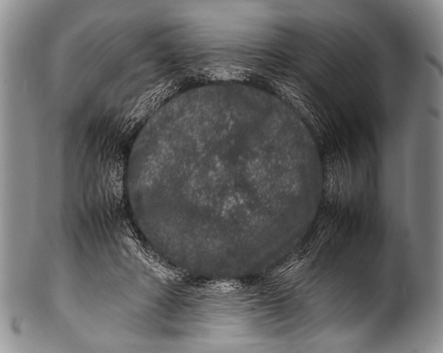 X0000100340402200806261332