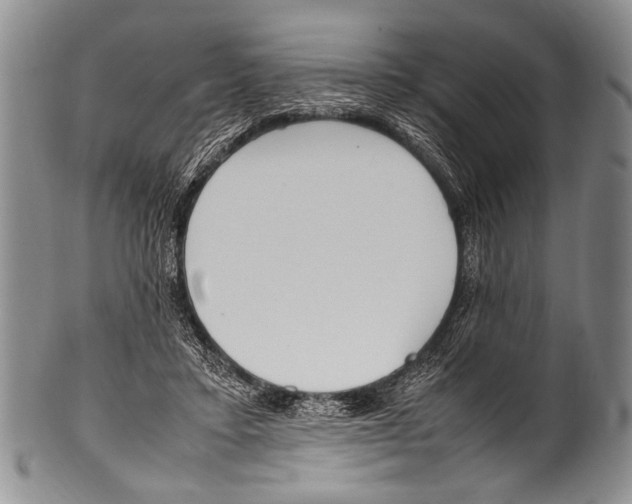 X0000100340403200806261332