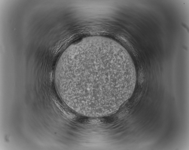 X0000100340405200806261332