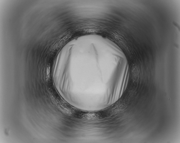 X0000100340406200806261332