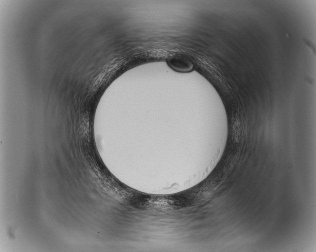 X0000100340407200806261332