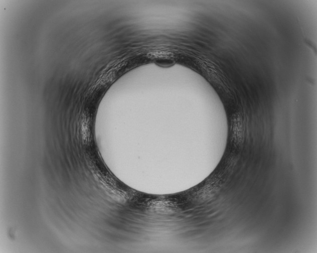 X0000100340408200806261332