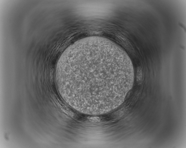 X0000100340409200806261332