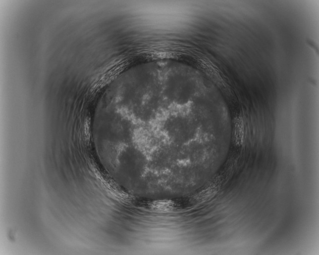 X0000100340410200806261332