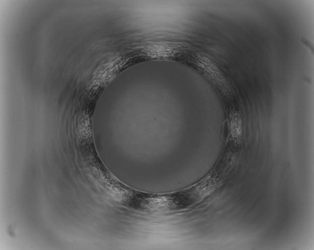 X0000100340411200806261331