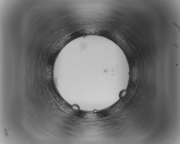 X0000100340413200806261331