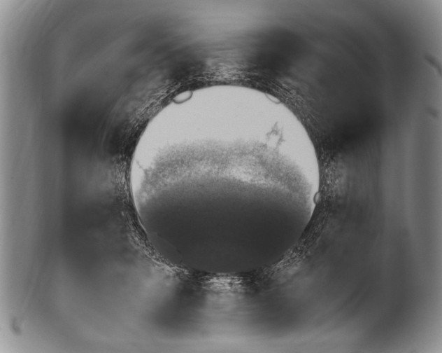 X0000100340415200806261331