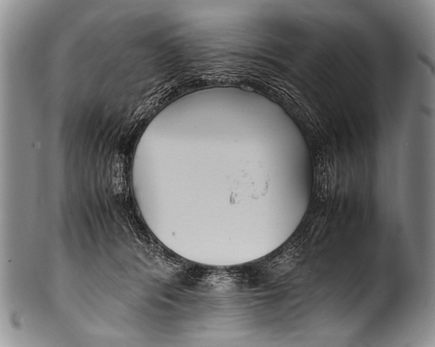 X0000100340416200806261331