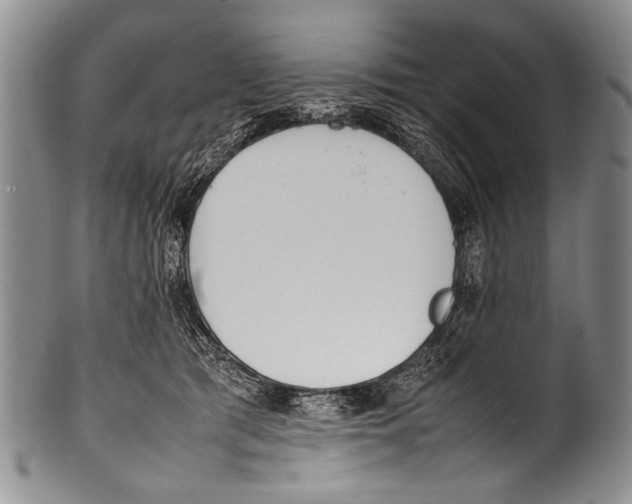 X0000100340417200806261331