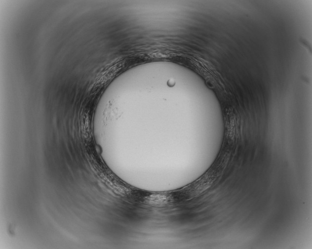 X0000100340418200806261331