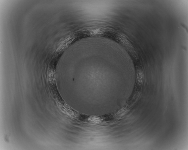 X0000100340419200806261331