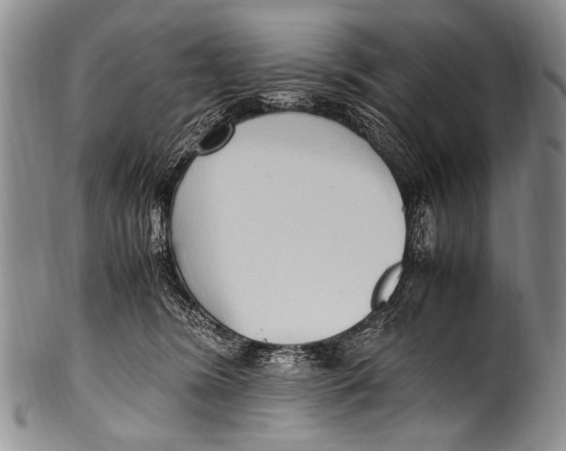 X0000100340420200806261331