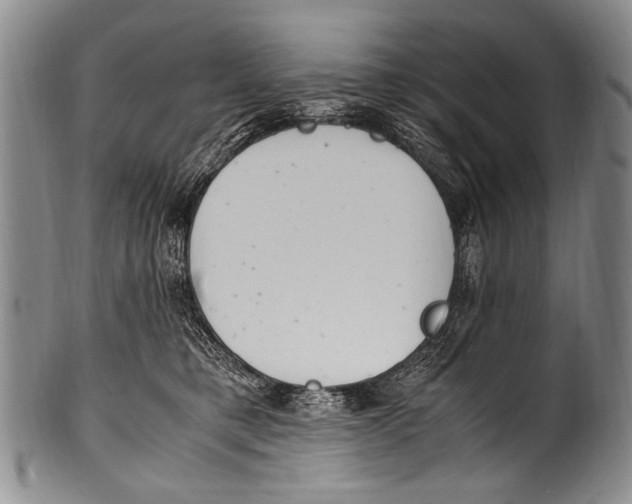 X0000100340421200806261331