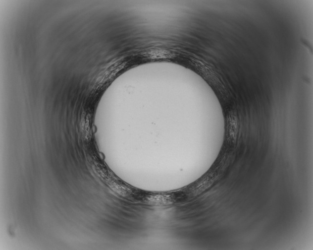 X0000100340422200806261331