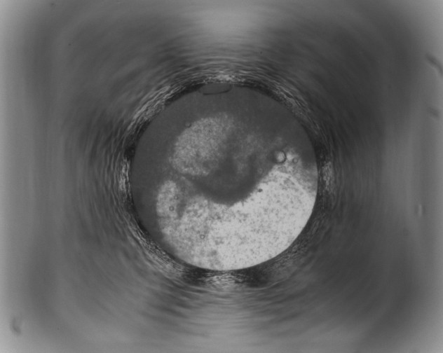 X0000100340423200806261331