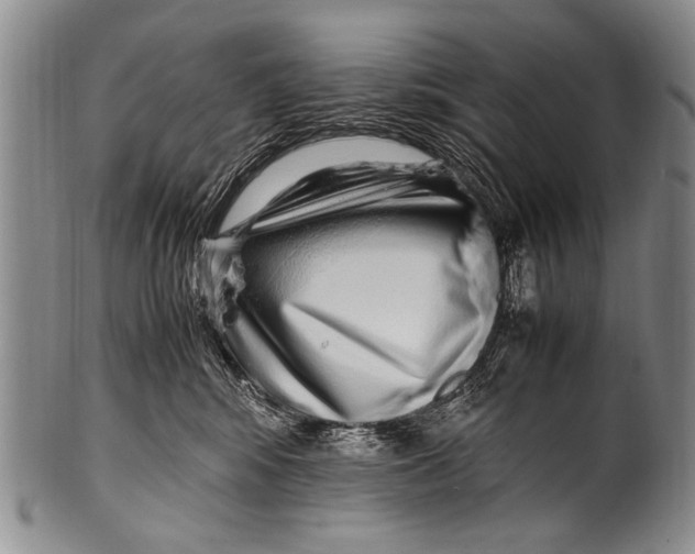 X0000100340424200806261331