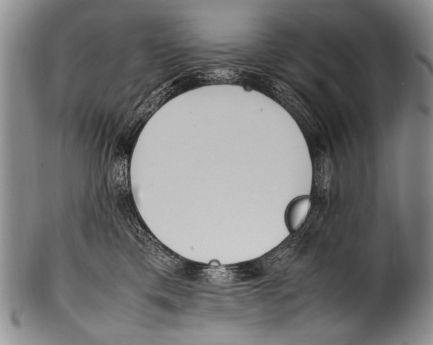 X0000100340425200806261331