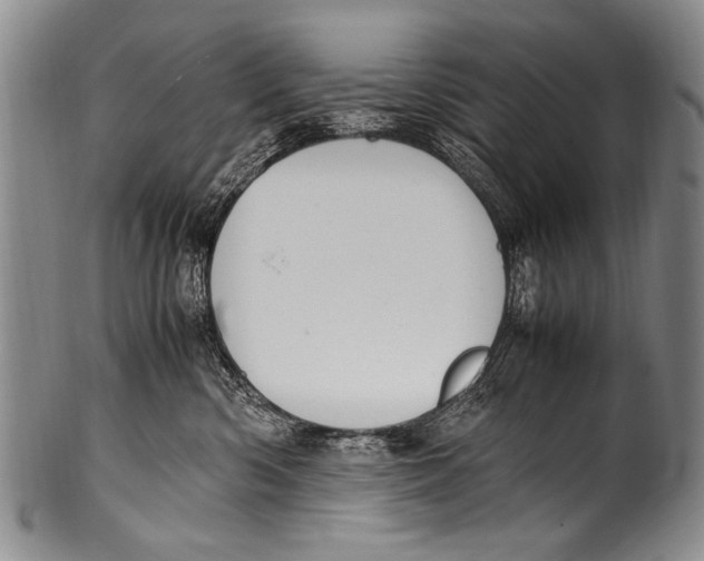 X0000100340426200806261331