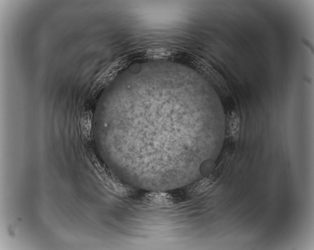 X0000100340427200806261331