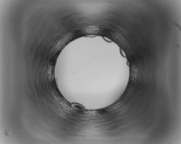 X0000100340428200806261331