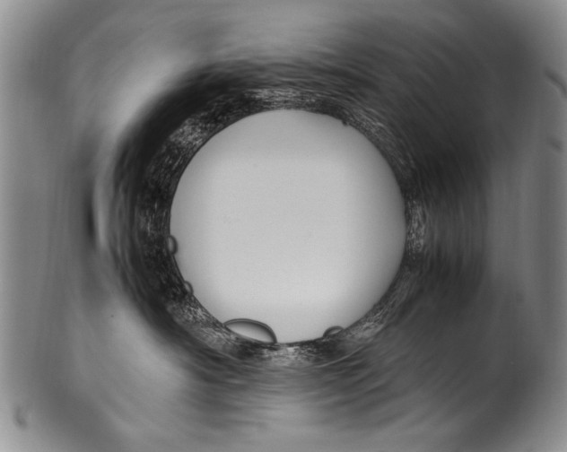 X0000100340430200806261331