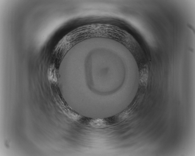 X0000100340431200806261331