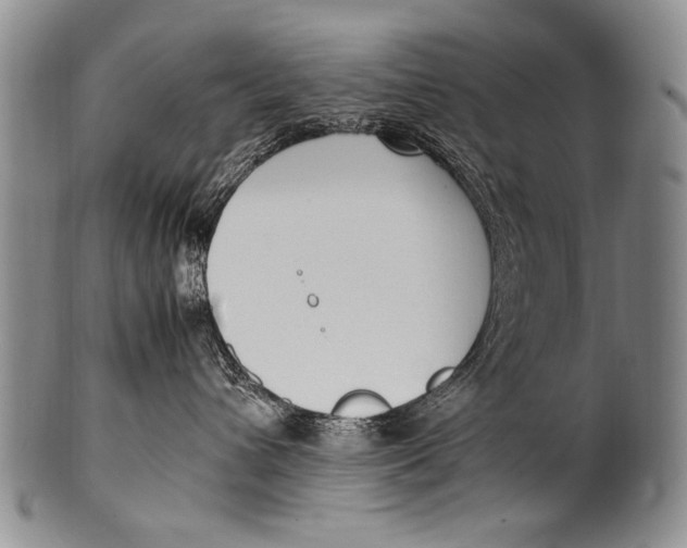 X0000100340432200806261331