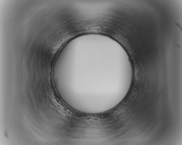 X0000100340434200806261330