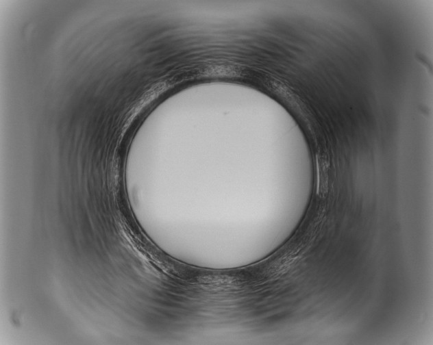 X0000100340435200806261330