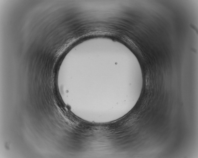 X0000100340436200806261330