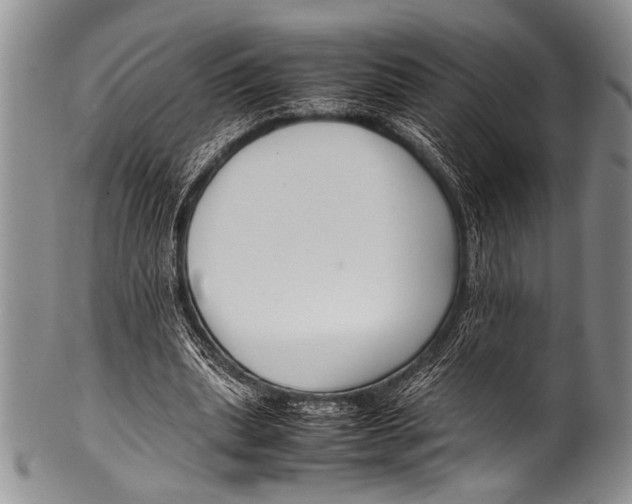 X0000100340439200806261330