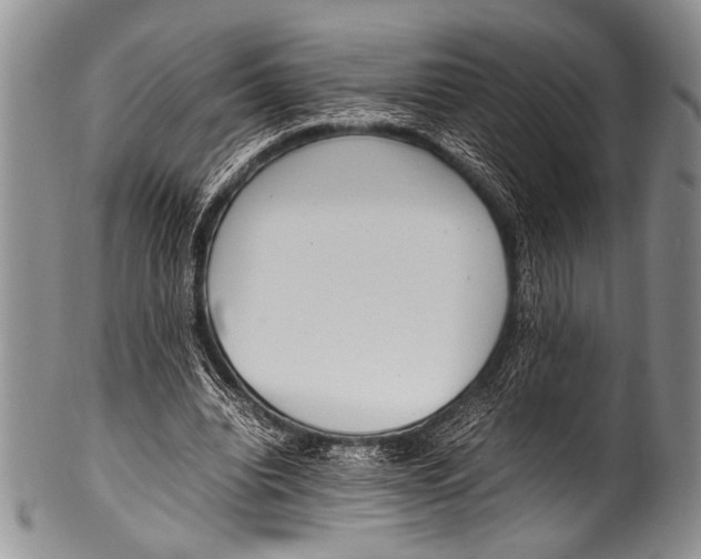 X0000100340440200806261330