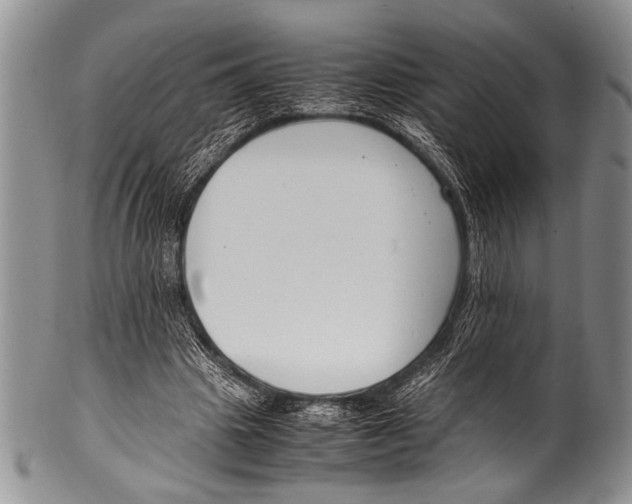 X0000100340441200806261330